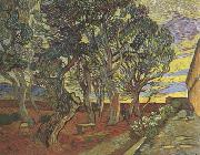 Vincent Van Gogh The Garden of Saint-Paul Hospital (nn04) oil